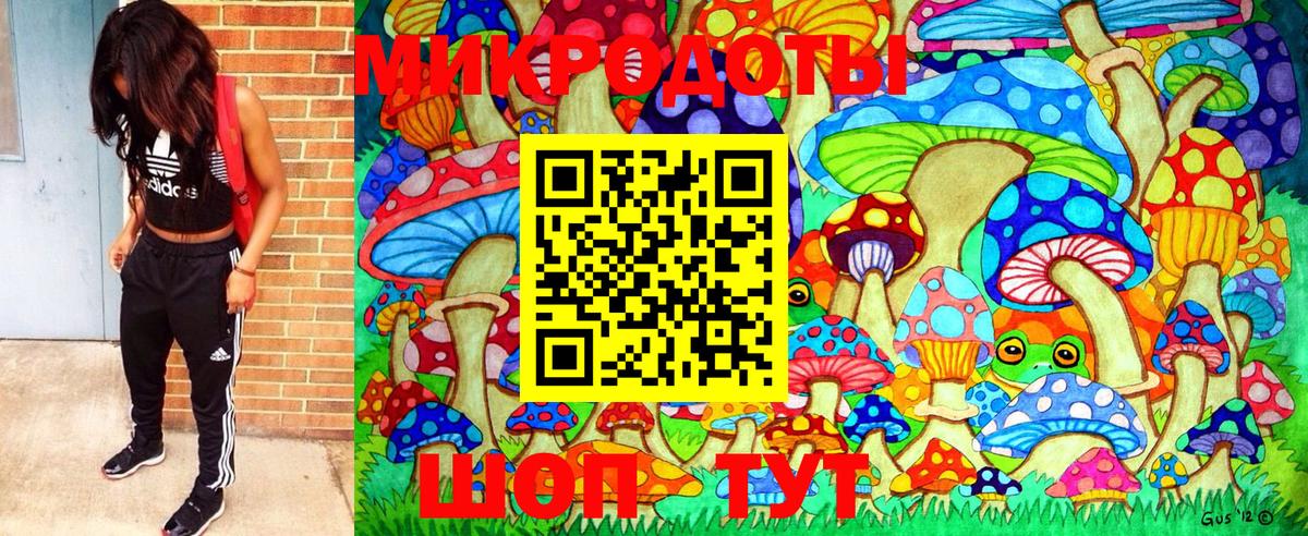 Галлюциногенные грибы Psilocybine cubensis  Вход с VPN  Галлюциногенные грибы мухоморы  Кинель 